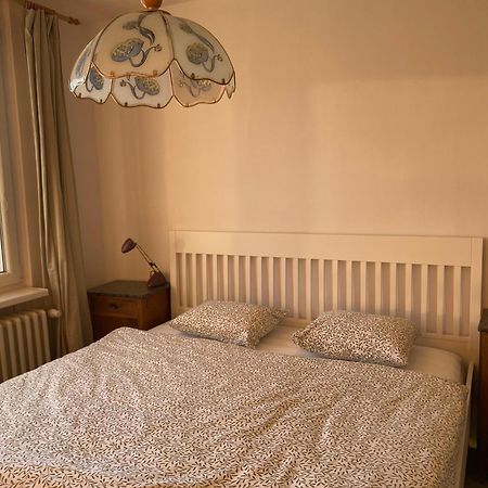 Apartman Pod Studenou Horou Рокитніце-над-Їзероу Екстер'єр фото