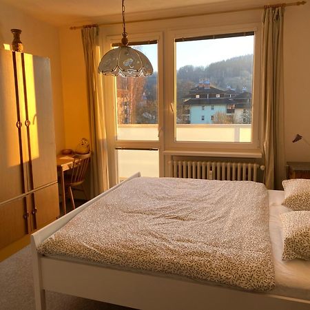 Apartman Pod Studenou Horou Рокитніце-над-Їзероу Екстер'єр фото