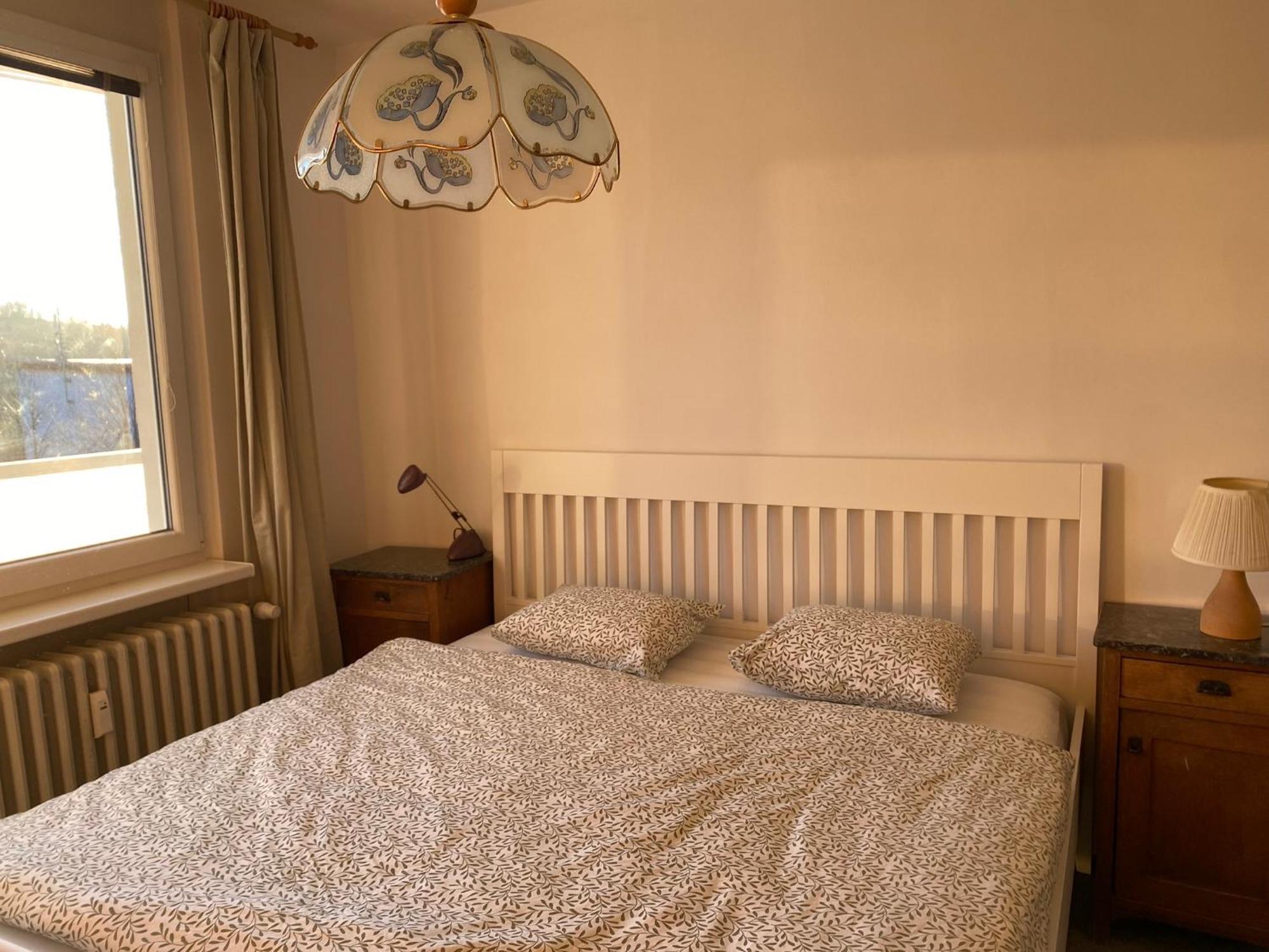 Apartman Pod Studenou Horou Рокитніце-над-Їзероу Екстер'єр фото