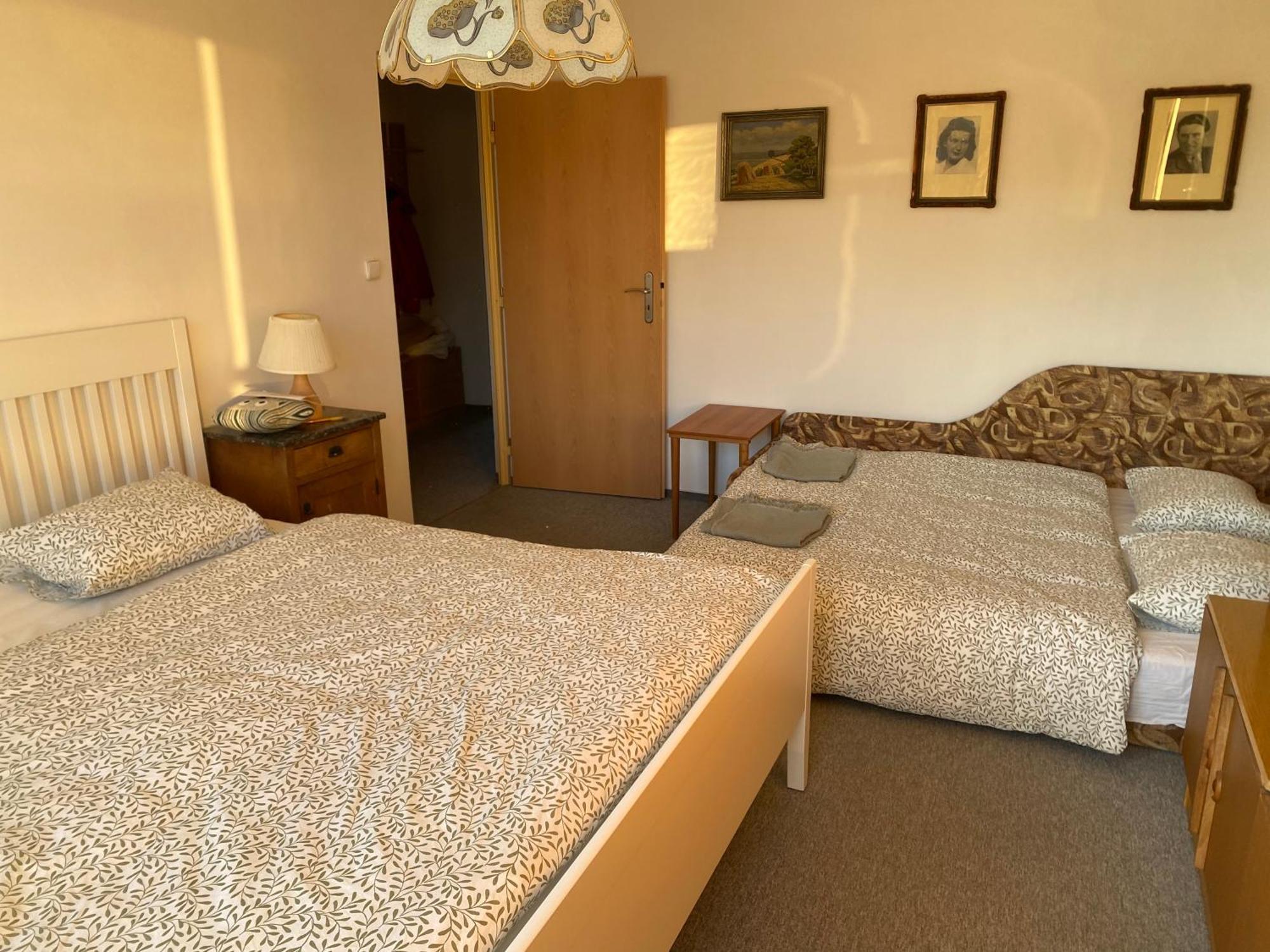 Apartman Pod Studenou Horou Рокитніце-над-Їзероу Екстер'єр фото